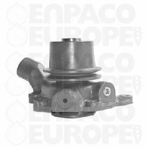 [ENP101140001] BOMBA AGUA CON POLEA David Brown REF. 101140001