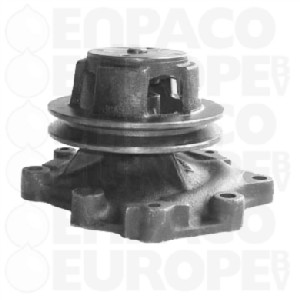 [ENP101290015] BOMBA AGUA Ford REF. 101290015