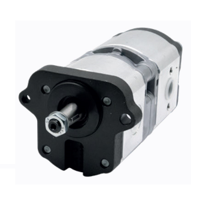 [BCH0510365315] BOMBA Hª DOBLE 11+8.2 250-280bar69/565-246 TIPO AZPFF