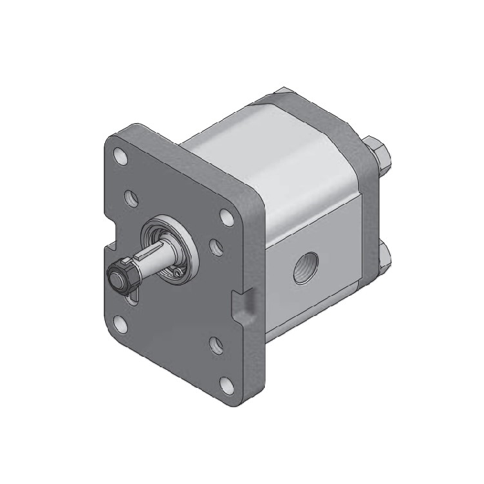 [ROQ1L35DT22F] Bomba de Engranajes Giro DCH. 23,3 cm3 Eje Estriado 9D Roquet 1L35DT22F