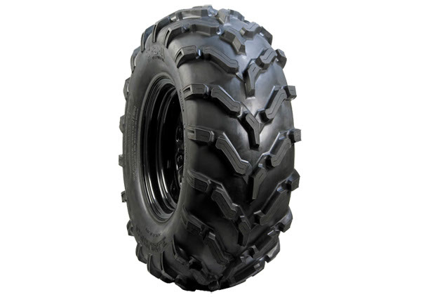 CARLSTAR 26/8 B12 49M ACT HD
